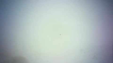 sweetjoy9 online show from March 25, 2026, 2:34 pm