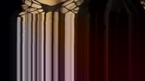 Forever Erotica online show from January 12, 2026, 4:23 pm