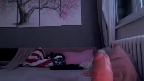     .... ............ Onlyfans   online show from January 29, 2025, 11:56 pm