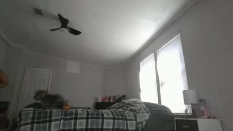 sexyfl440703 online show from October 31, 2025, 3:46 pm