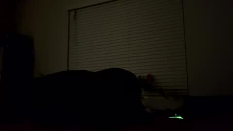 sexyhornyman1993 online show from March 22, 2026, 8:29 am