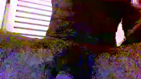 sexynudistdaddycockm online show from November 24, 2025, 5:51 am