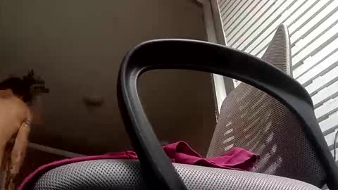 sexynudistdaddycockm online show from January 7, 2026, 8:11 pm