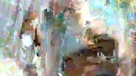 taiyan online show from February 15, 2025, 1:31 am