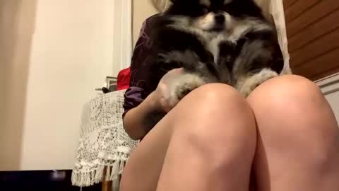 Snapshot of sexysexydream chatting on February 9, 2025, 8:13 pm Anya online show from February 9, 2025, 8:13 pm