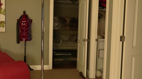 Princess Jackie and Daddy Steve online show from February 11, 2026, 12:48 am