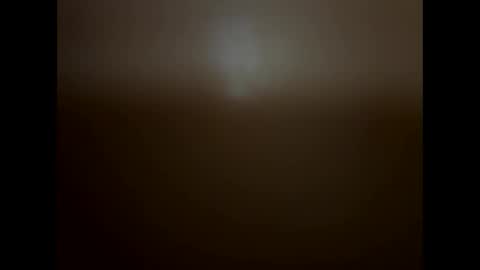 shaggydog774112 online show from November 12, 2025, 9:10 am