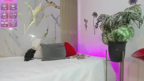 shalomexotic online show from July 1, 2026, 12:18 pm
