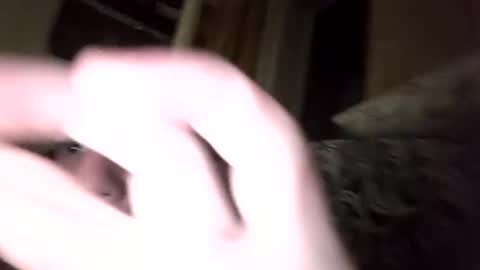 Shamilka online show from September 17, 2025, 7:59 pm