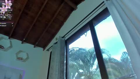 Shana online show from February 24, 2026, 4:05 pm