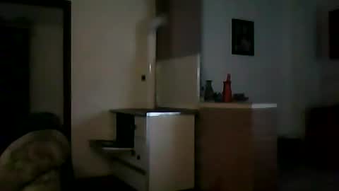 Snapshot of shaomy711 chatting on December 11, 2024, 1:06 pm excelo21 online show from December 11, 2024, 1:06 pm