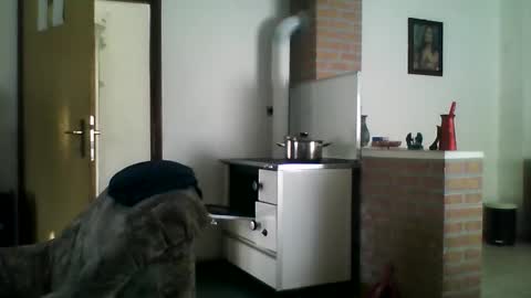 Snapshot of shaomy711 chatting on December 22, 2024, 9:44 am excelo21 online show from December 22, 2024, 9:44 am