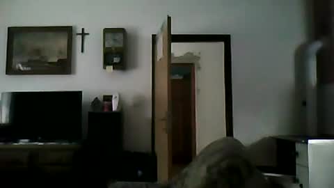 Snapshot of shaomy711 chatting on January 6, 2025, 1:19 pm excelo21 online show from January 6, 2025, 1:19 pm