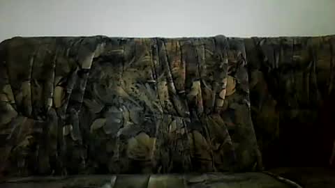 Snapshot of shaomy711 chatting on February 16, 2025, 10:21 am excelo21 online show from February 16, 2025, 10:21 am