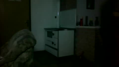 Snapshot of shaomy711 chatting on March 1, 2025, 3:16 pm excelo21 online show from March 1, 2025, 3:16 pm