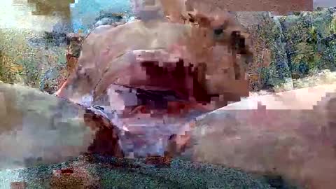 Snapshot of shaomy711 chatting on October 26, 2025, 7:14 am excelo21 online show from October 26, 2025, 7:14 am