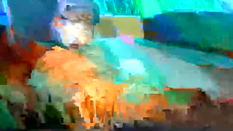 Shamroc online show from May 11, 2026, 6:41 am