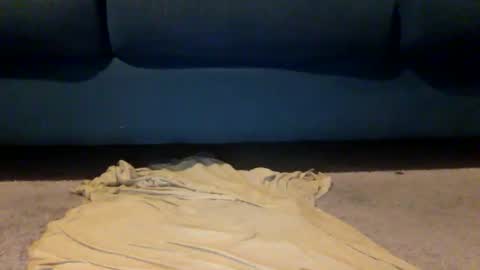 shazbot84 online show from April 10, 2026, 4:06 am