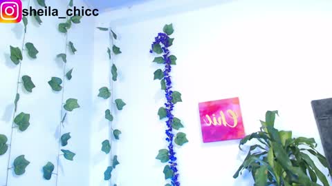 SHEILA  online show from December 9, 2024, 10:52 pm