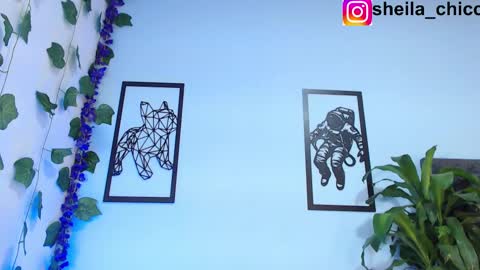 SHEILA  online show from February 26, 2025, 2:25 pm