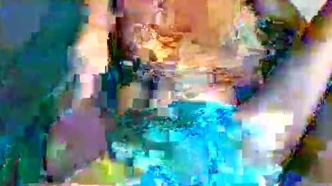 shelly online show from May 24, 2026, 9:09 pm