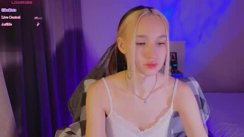 Sheyli online show from January 8, 2026, 3:36 pm