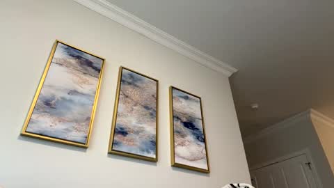 shines08092 online show from November 9, 2025, 3:10 pm