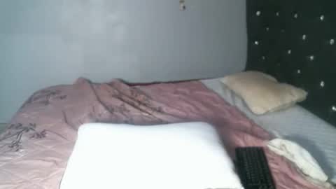Snapshot of shiro254 chatting on September 15, 2025, 11:54 am Shi-ro online show from September 15, 2025, 11:54 am