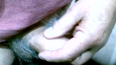 shootertog online show from October 13, 2025, 10:48 am