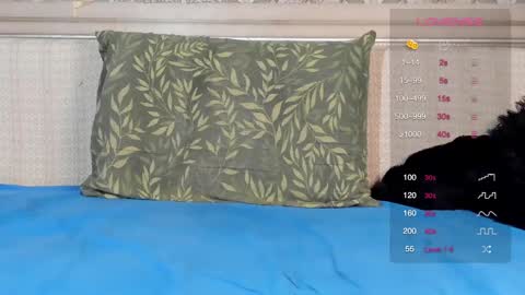 Oleg online show from March 1, 2025, 7:04 pm