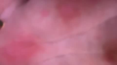 Snapshot of shurd7 chatting on April 22, 2026, 11:06 pm shurd7 online show from April 22, 2026, 11:06 pm
