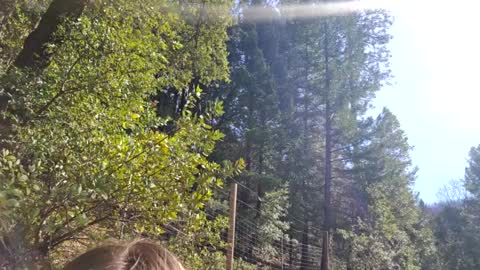 Aurora Wolfe  Shy College Girl  Top 16 of all OF Creators online show from February 10, 2025, 9:47 pm