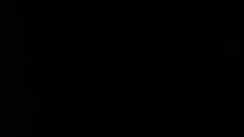 shyguy_969 online show from December 8, 2024, 9:08 pm