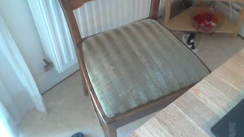 Snapshot of sibblii0 chatting on March 4, 2025, 11:19 am Seba online show from March 4, 2025, 11:19 am