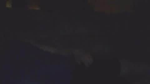 Snapshot of sickone6669947170 chatting on February 11, 2026, 8:19 am Bill online show from February 11, 2026, 8:19 am