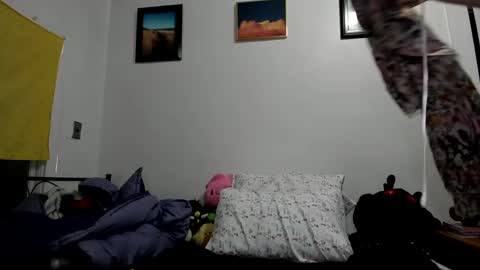 Snapshot of sierrasquirter chatting on January 23, 2025, 4:41 am Sierra online show from January 23, 2025, 4:41 am