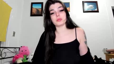 Snapshot of sierrasquirter chatting on February 18, 2025, 5:09 am Sierra online show from February 18, 2025, 5:09 am
