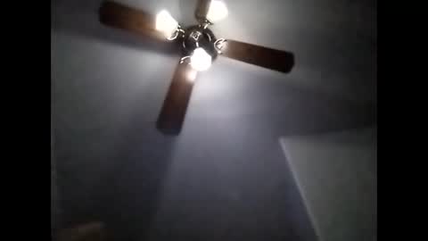 sil15nissan online show from February 19, 2026, 8:10 am