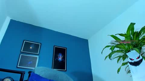 Snapshot of silvabranko chatting on October 17, 2025, 1:20 am silvabranko online show from October 17, 2025, 1:20 am