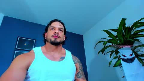 Snapshot of silvabranko chatting on October 18, 2025, 9:48 pm silvabranko online show from October 18, 2025, 9:48 pm