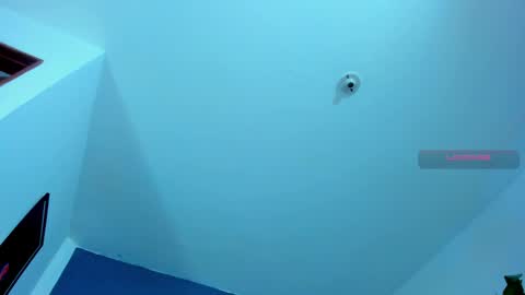 Snapshot of silvabranko chatting on October 22, 2025, 9:03 pm silvabranko online show from October 22, 2025, 9:03 pm