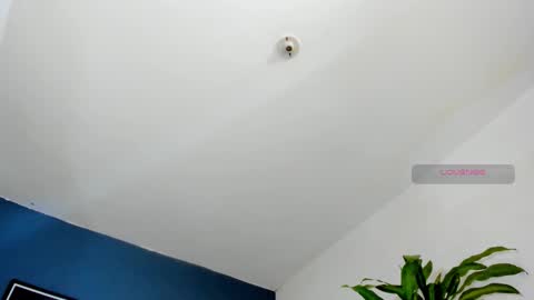 Snapshot of silvabranko chatting on October 26, 2025, 10:04 pm silvabranko online show from October 26, 2025, 10:04 pm