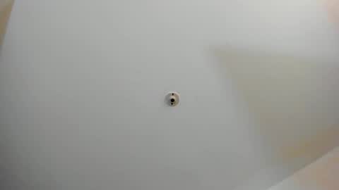 Snapshot of silvabranko chatting on November 2, 2025, 11:07 pm silvabranko online show from November 2, 2025, 11:07 pm