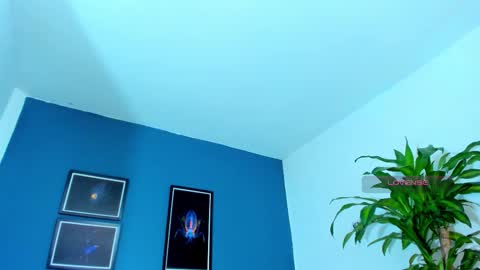 Snapshot of silvabranko chatting on November 9, 2025, 1:04 am silvabranko online show from November 9, 2025, 1:04 am