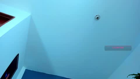 Snapshot of silvabranko chatting on November 9, 2025, 11:03 pm silvabranko online show from November 9, 2025, 11:03 pm