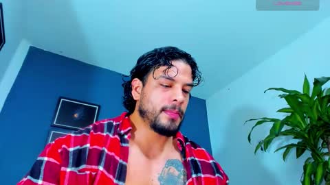 Snapshot of silvabranko chatting on November 12, 2025, 12:33 am silvabranko online show from November 12, 2025, 12:33 am