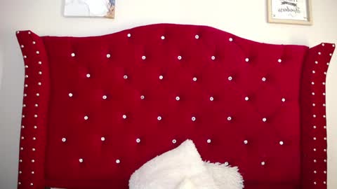 silvia_ls online show from February 16, 2025, 4:42 pm