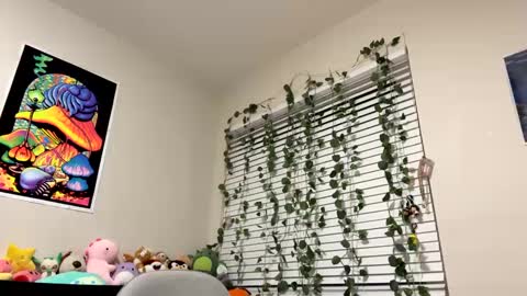 Sincerelyneon online show from January 10, 2025, 1:21 am