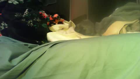 Sinseason online show from November 11, 2025, 8:14 am