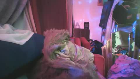 Siofra online show from February 24, 2025, 2:19 am